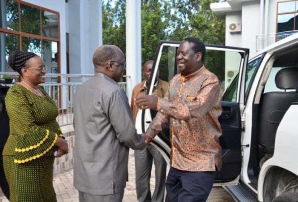 PHOTOS: Raila in Tanzania, meets with president Magufuli
