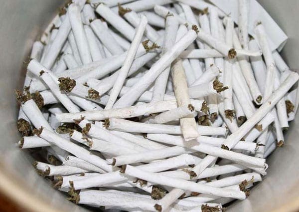 Impounded bhang. Police in Nairobi have arrested a former minister Njenga Karume's grandson over trafficking of cocaine and marijuana. FILE PHOTO | NATION MEDIA GROUP