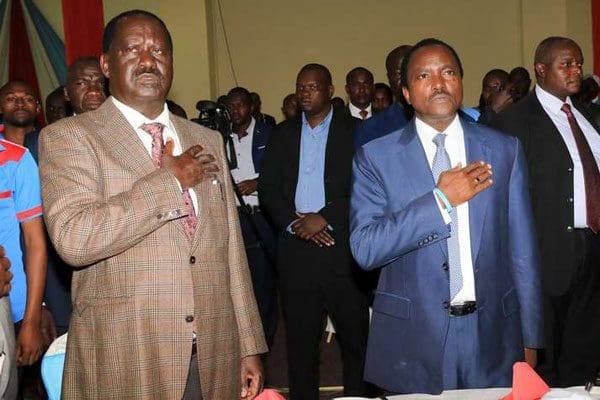 Why Kalonzo Missed The State House Lunch-Dannish Odongo
