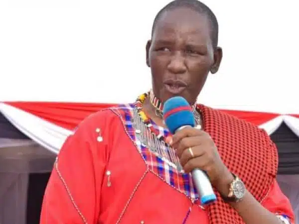Sakuda blames ODM's 'unseen hand' for chaos at Kajiado primaries