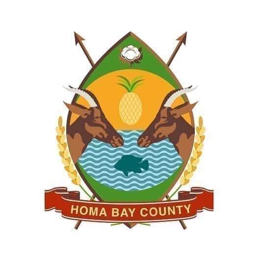 Homa Bay Cabinet nominee rejects appointment for lacked experience required