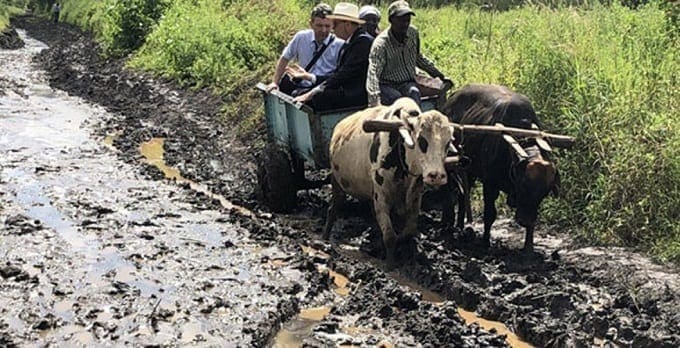 Irish Ambassador rides Mkokoteni in Makueni, excites social media