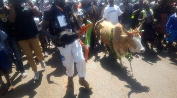 A bull for Obama as elated Kogelo residents welcome him