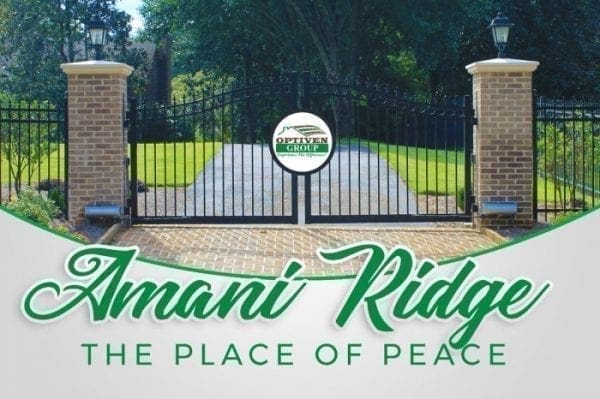 5 Prudent Ways to make use of Amani Ridge – The Place of Peace