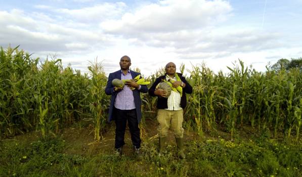 Two Diaspora Kenyans Explore Farming In UK