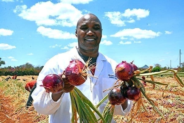Kenyan who does telephone Onion farming from the US