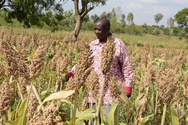 Odinga family among top land rate defaulters in Kisumu
