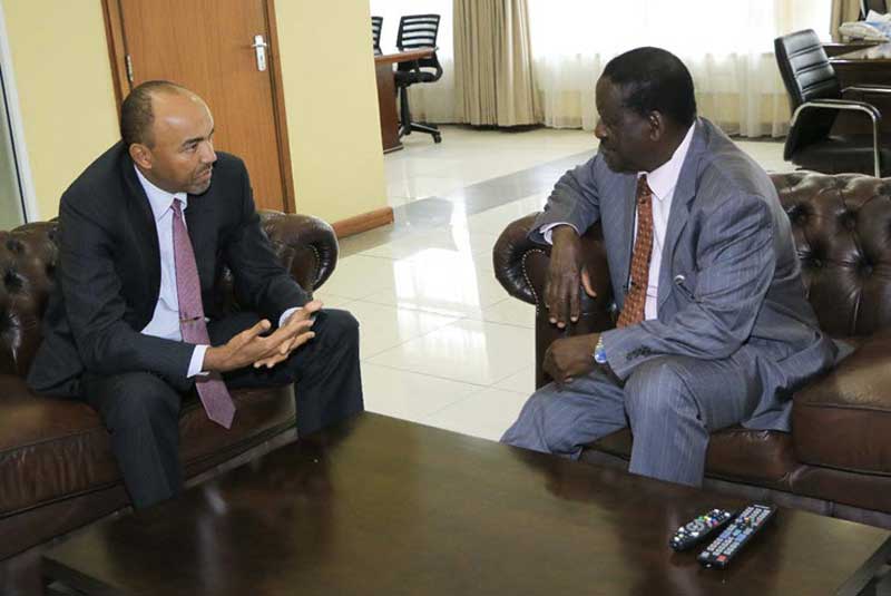 ODM MPs back Raila - Peter Kenneth ticket for 2022 