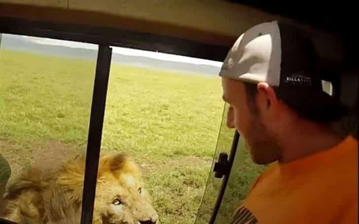 VIDEO: Dumbest tourist reaches from car to pet a lion but quickly regrets