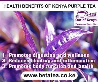 Experience Better Tea: Kenyan Purple Tea Is Specialty Premium Tea