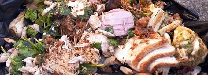 How Food Waste Is Harming Our Environment