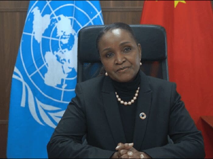 Kenyan Amakobe Sande Appointed To Head UN Operations In Eritrea