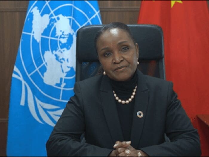 Kenyan Amakobe Sande Appointed To Head UN Operations In Eritrea