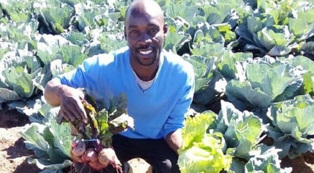 Kenyan born agriculturist has mastered the science of cultivating food crops in Joburg SA