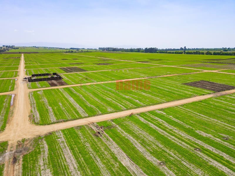The New Look of Havanna Estate Nakuru