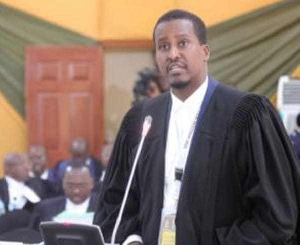 Profile of Harvard Schooled IEBC Lawyer Mahat Somane