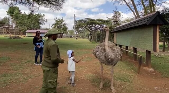 A Memorable Animal Orphanage Tour at the Foothills of Mt Kenya