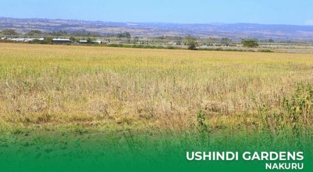 Optiven’s Ushindi Gardens Upscales Nakuru: Ushindi Gardens in Nakuru by Optiven