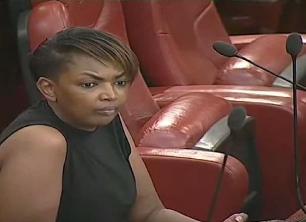 Karen Nyamu Ejected From Senate Chambers Over Inappropriate Dressing