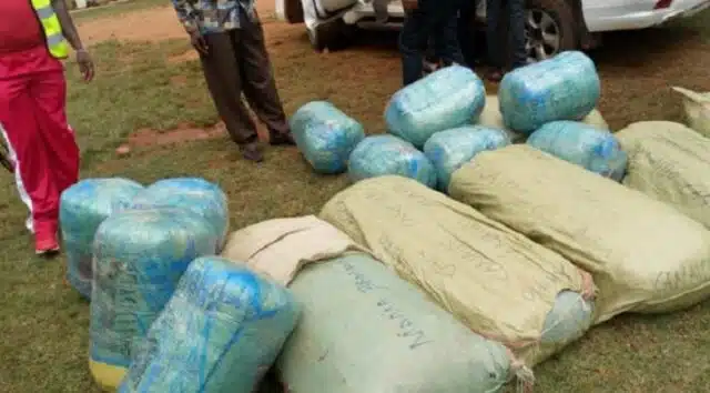 Police Raid Church Selling Bhang in Ongata Rongai During Service