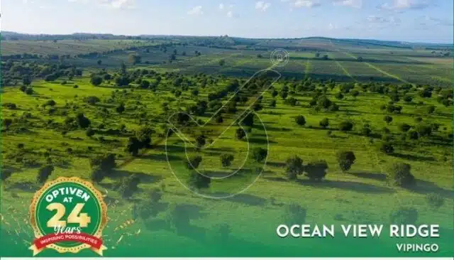 Tree Planting 2023 Close at Ocean View Ridge – Vipingo