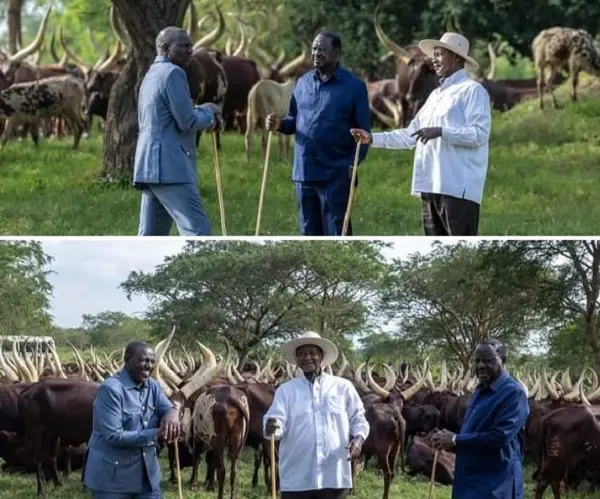 Africa Union job: Ruto campaign for Raila in Uganda