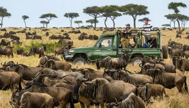 Kenya Ranked Best Wildlife Photography Destination