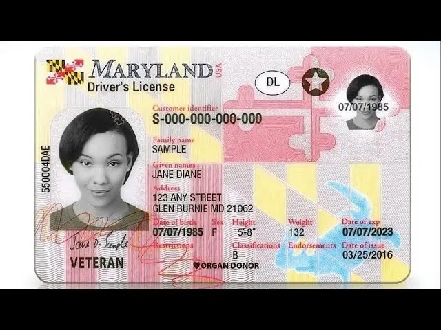 Maryland Driver's License Requirements For Illegal Immigrants