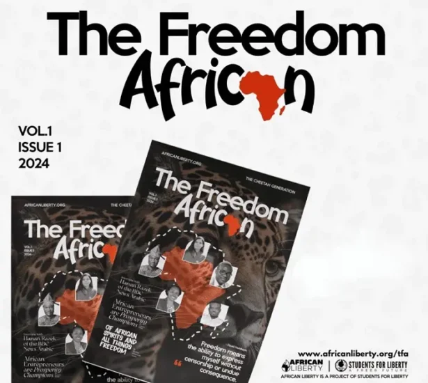 African Immigrants in the United States: Cultural Contributions