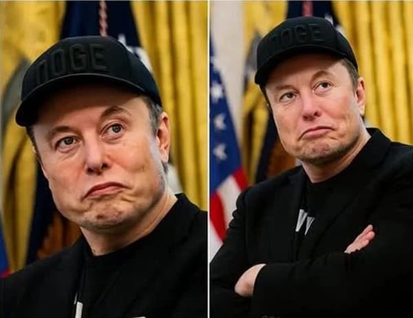 Elon Musk's Empire Is Struggling After Political Feuds 